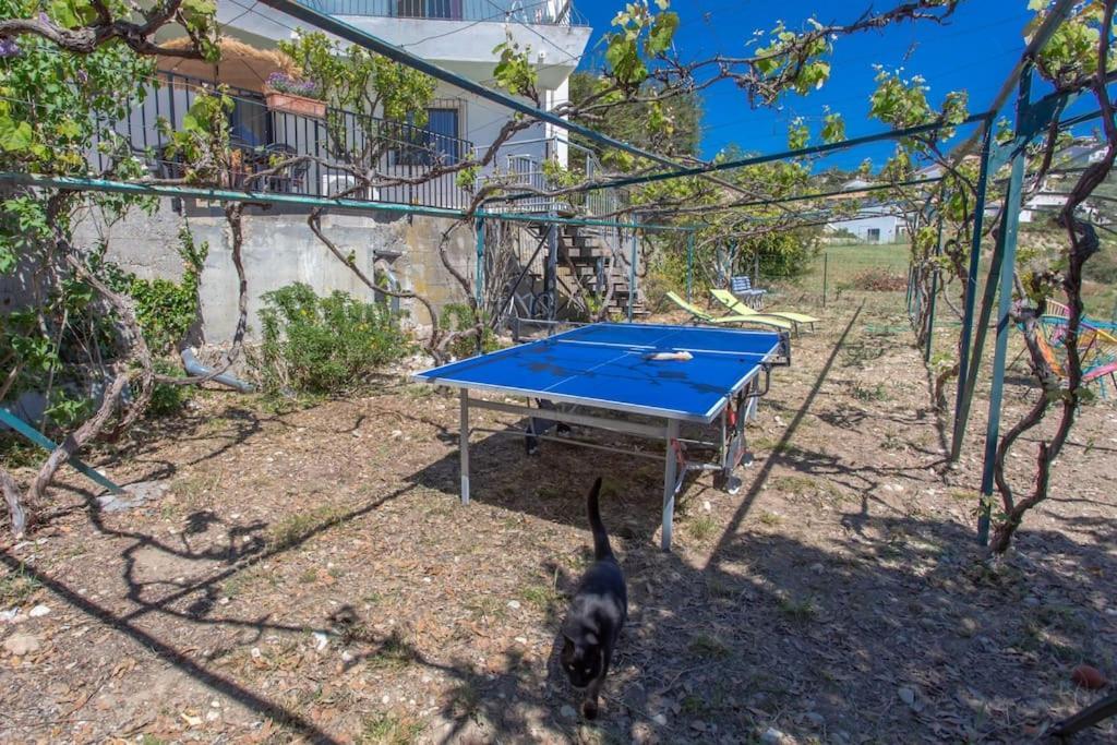 Echapee Belle - Vinayard View - Jacuzzi Bbq - Parking Leilighet Nice Eksteriør bilde